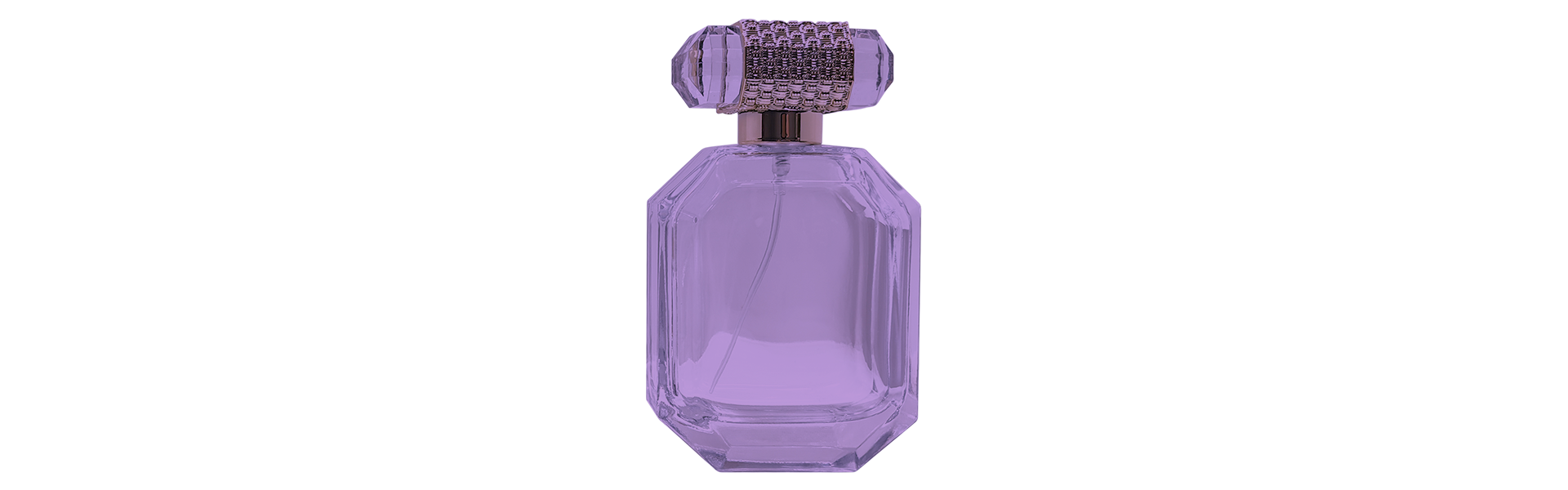 Özelleştirme Hizmeti
